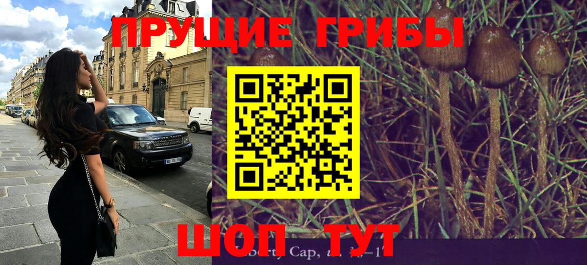 Псилоцибиновые грибы GOLDEN TEACHER Саяногорск